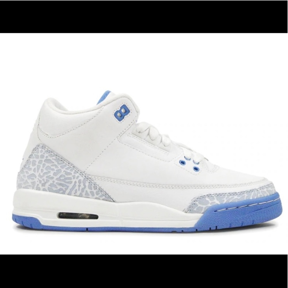 Air Jordan 3 RETRO Havana blue